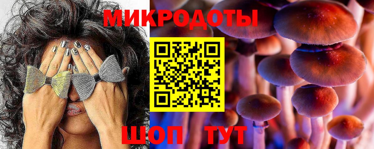 Саранск  Псилоцибиновые грибы мухоморы  Вход с VPN 